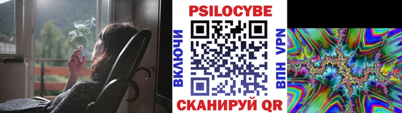 Галлюциногенные грибы Psilocybe  наркотики  Снежинск 